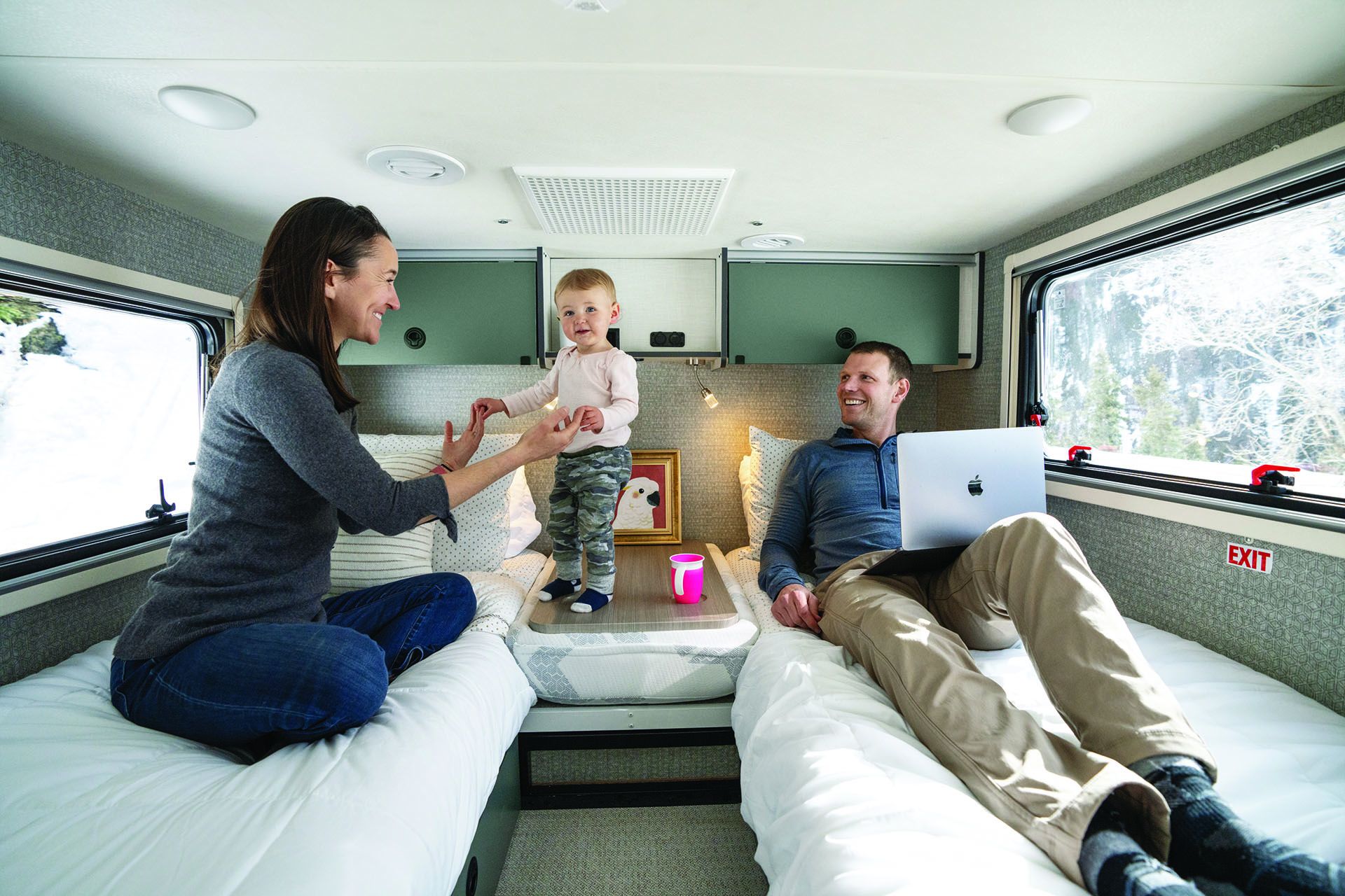 Alternators by Lithionics