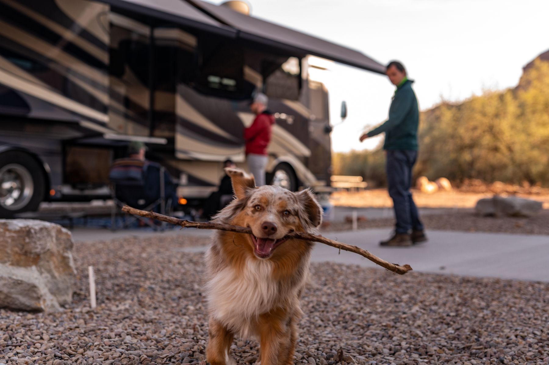 Lithionics Motorcoach Power Solutions