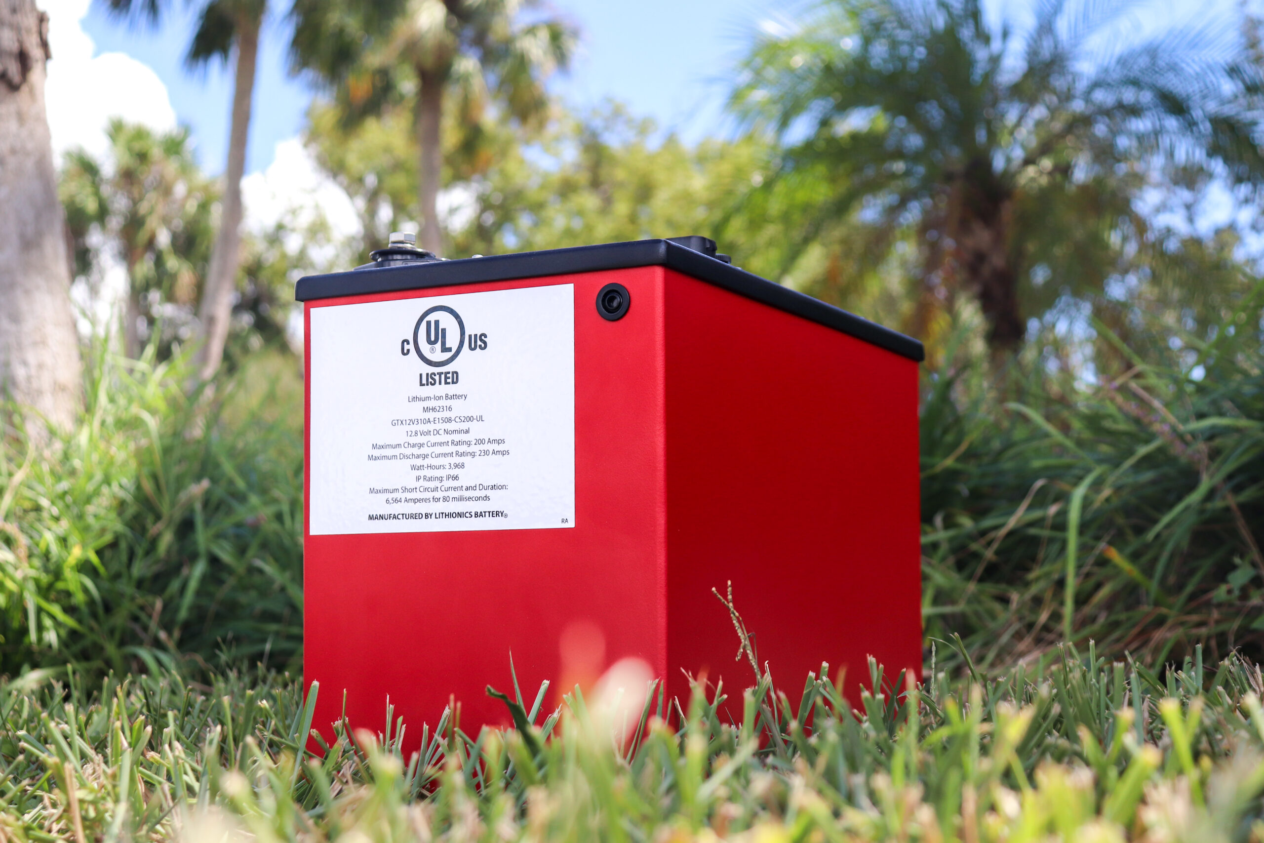 Lithionics Power Systems
